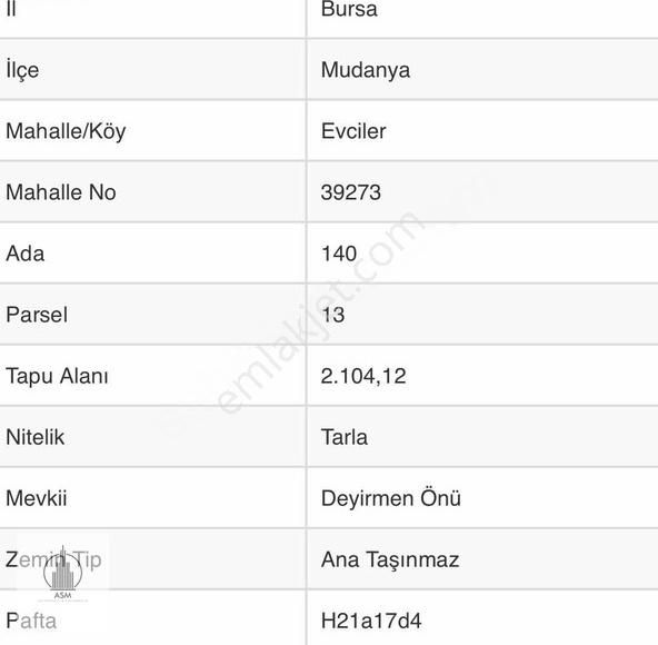 Mudanya Evciler Satılık Tarla Asm Gayrimenkul'den Mudanya Evcilerde Mükrmmel Konumda Tarla