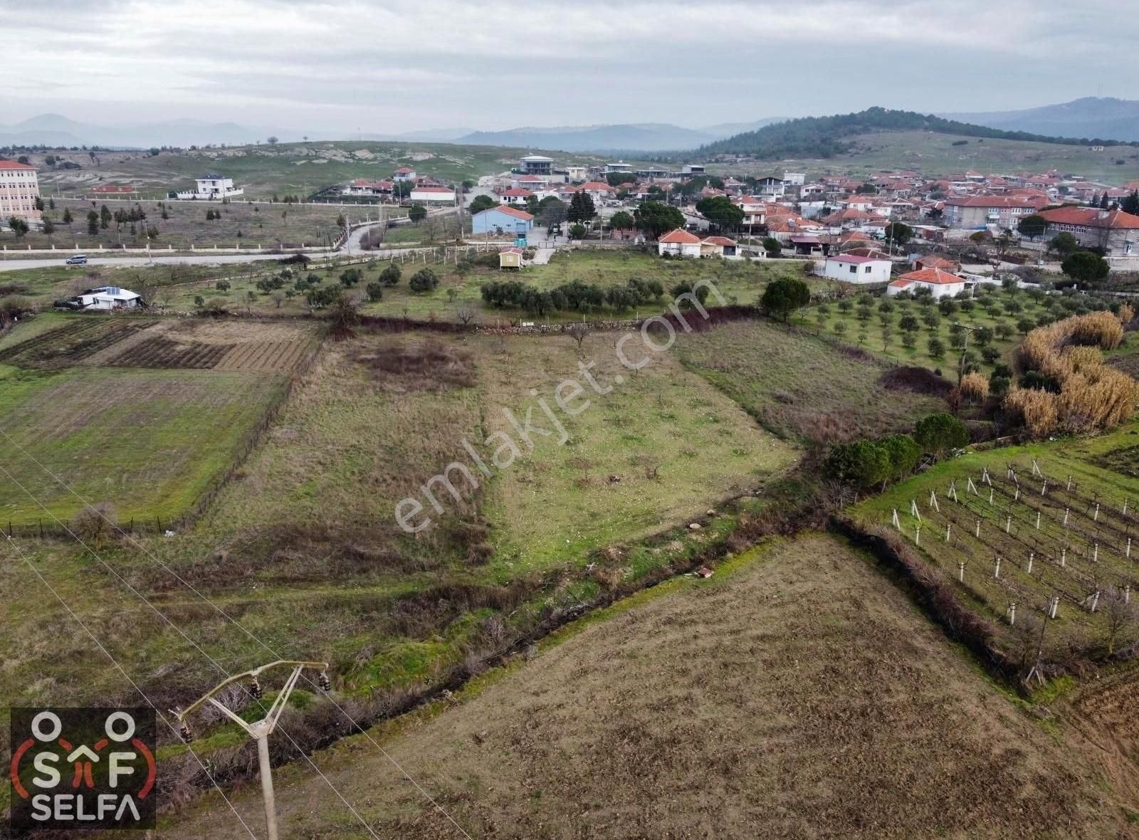 Yunusemre Osmancalı Satılık Tarla Manisa Yunusemre Osmancalı'da Köye Yakın Satılık Hisseli Tarla