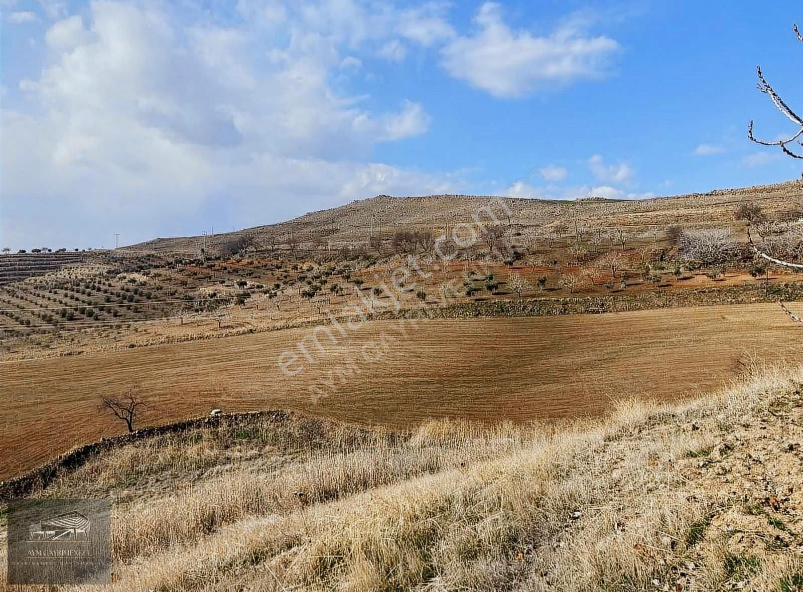 Kilis Merkez Mısırcık Köyü Satılık Tarla Aym Gyo Emrehan Aymelekten Kilis Mısırcıkta Satılık Arazi