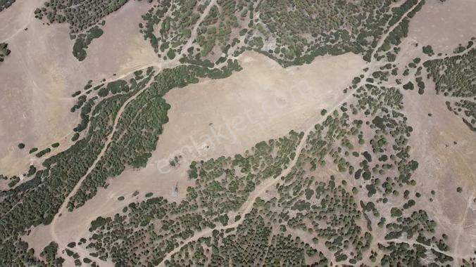 Manisa Alaşehir Alper Gayrimenkulden Kasaplı Mah. Ges Yapımına Uygun 13.775 M2 - Görsel 12