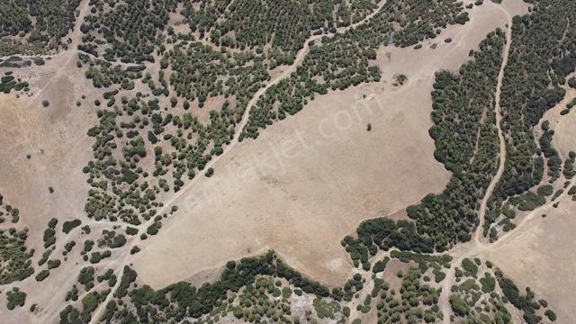 Manisa Alaşehir Alper Gayrimenkulden Kasaplı Mah. Ges Yapımına Uygun 13.775 M2 - Görsel 6