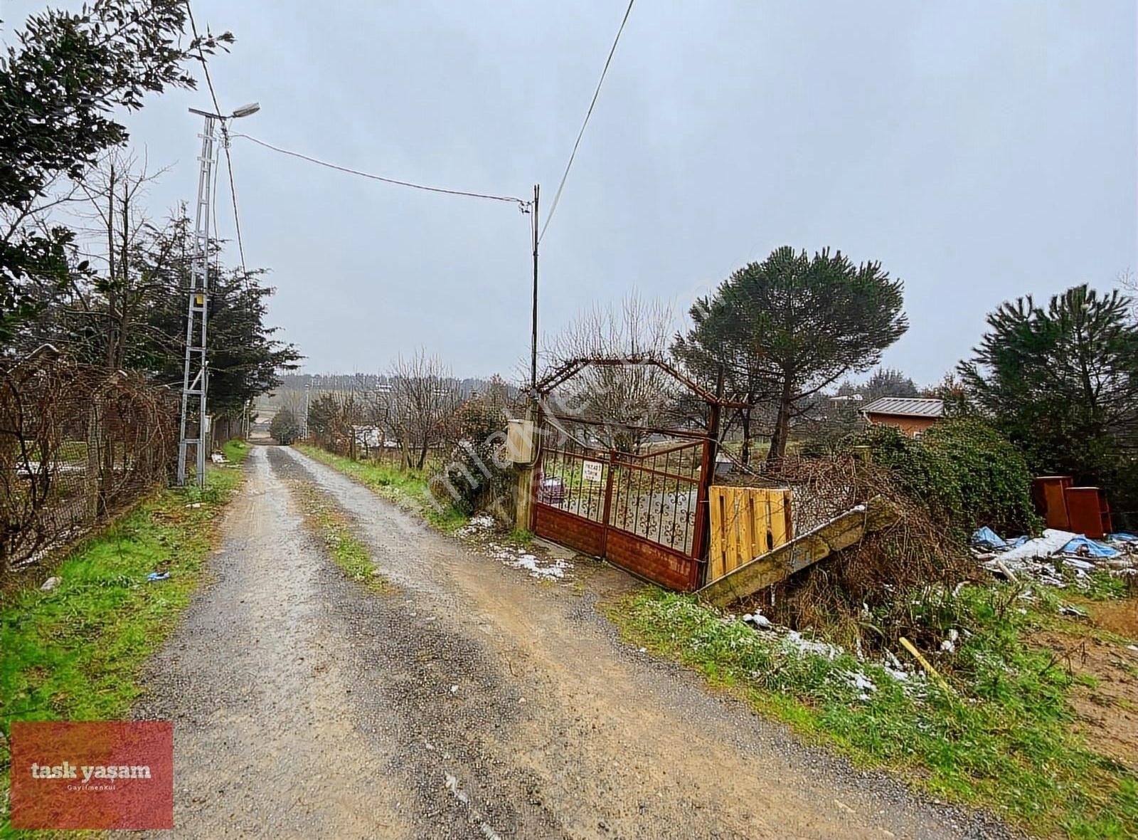 Tuzla Tepeören Satılık Villa İmarlı Tuzla Tepeören'de 1.575 M2 Uygun Fiyat Satılık Arsa