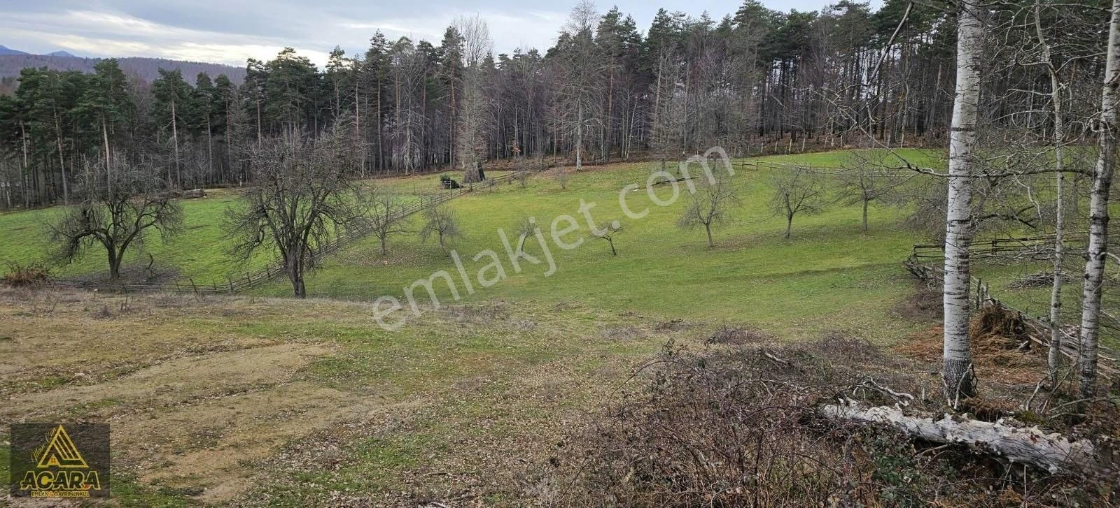 Acara'dan Satılık/iznik Kırıntı'da/villa İmarlı Arsalar - Görsel 9