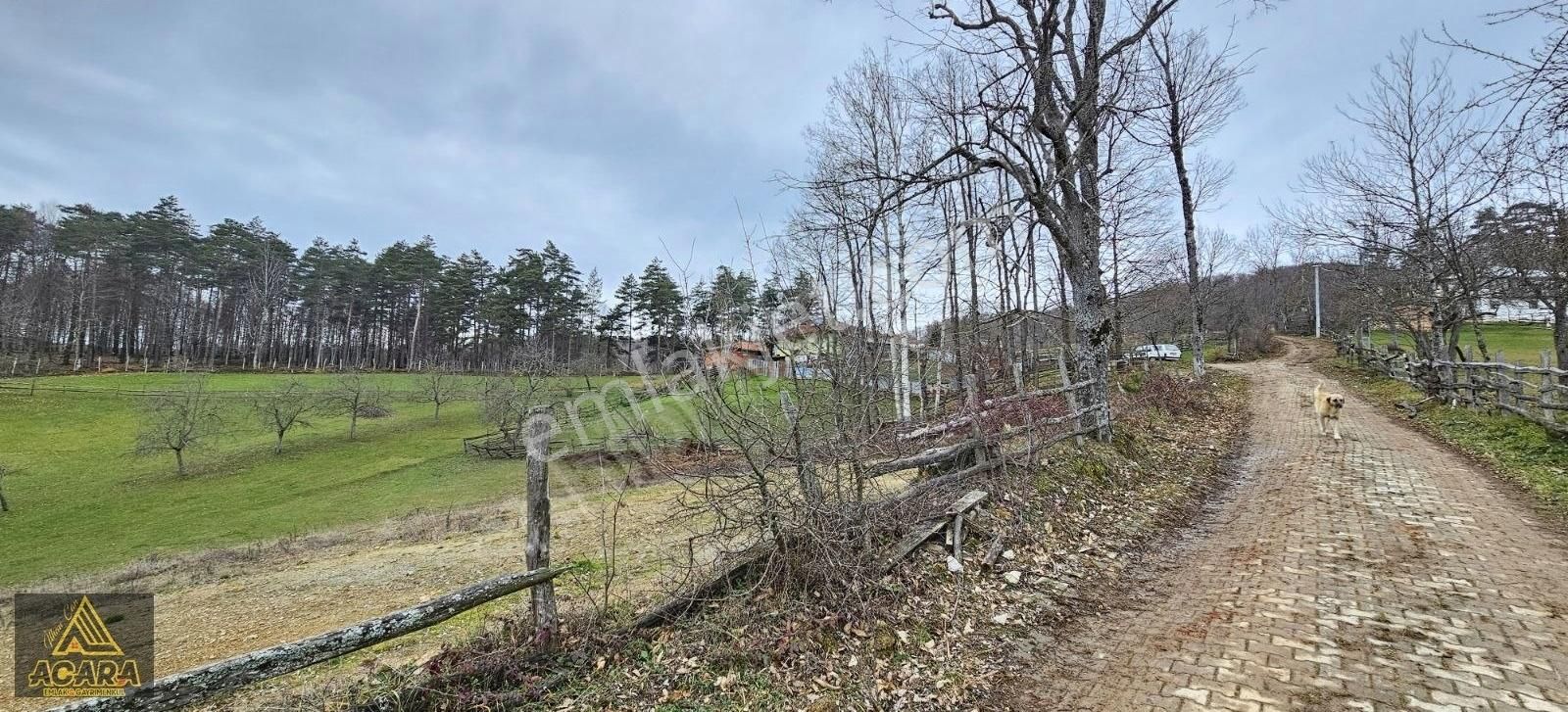 Acara'dan Satılık/iznik Kırıntı'da/villa İmarlı Arsalar - Görsel 14