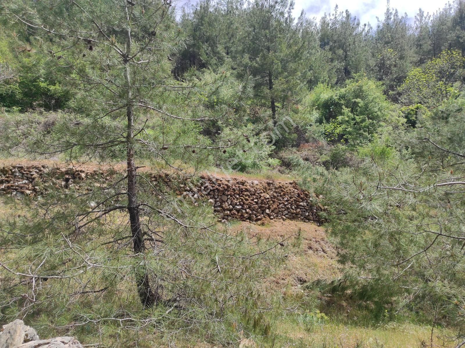 Muğla Menteşe Satılık Konut İmarlı Mülk Emlak A İl Satilik İhtiyaçtan Tarla