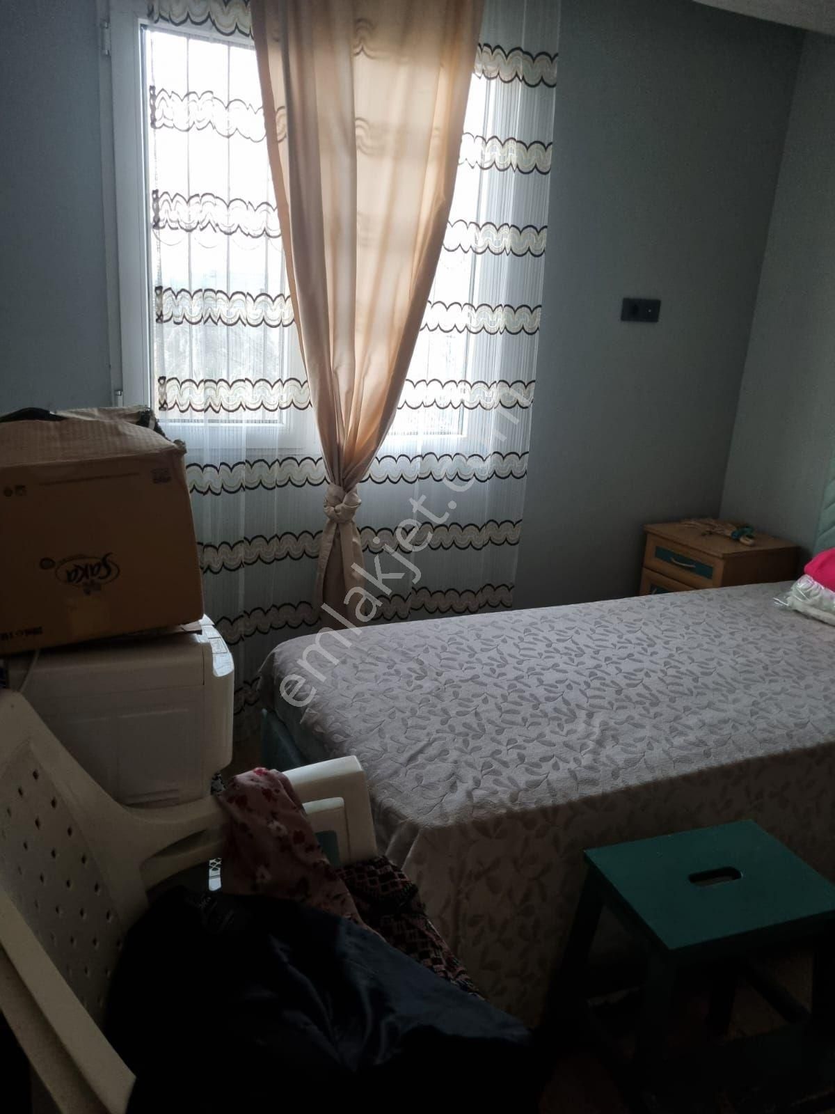 Armutlu Ankara Asfaltına Yakın 354 M² Evli Bahçe - Görsel 6