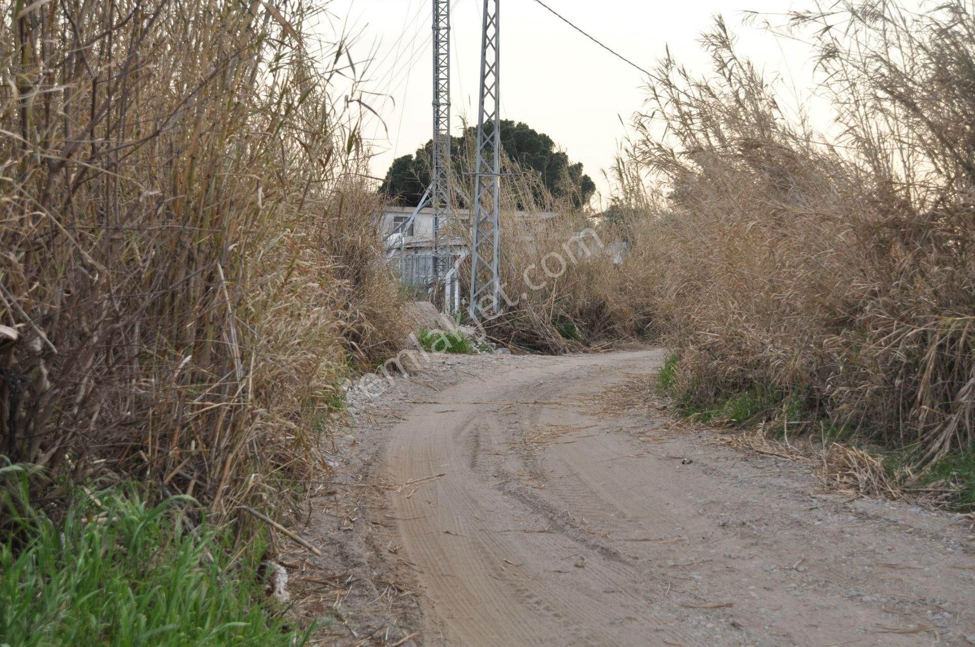 Söke'ye Yakın Satılık Zeytin İncir Bahçesi - Görsel 21