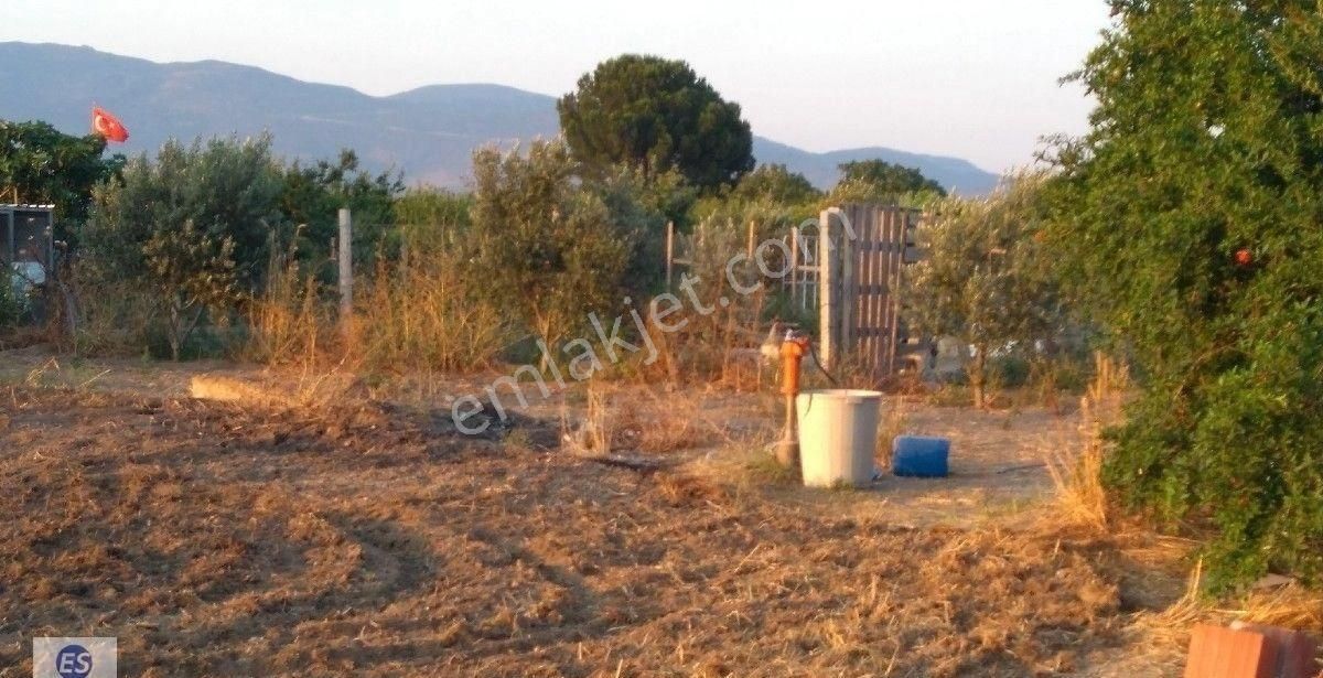 Fırsat Satılık Tarla 2885 M2 30 M2 Belgeli Odası Var Pazarlık Payı Var - Görsel 5