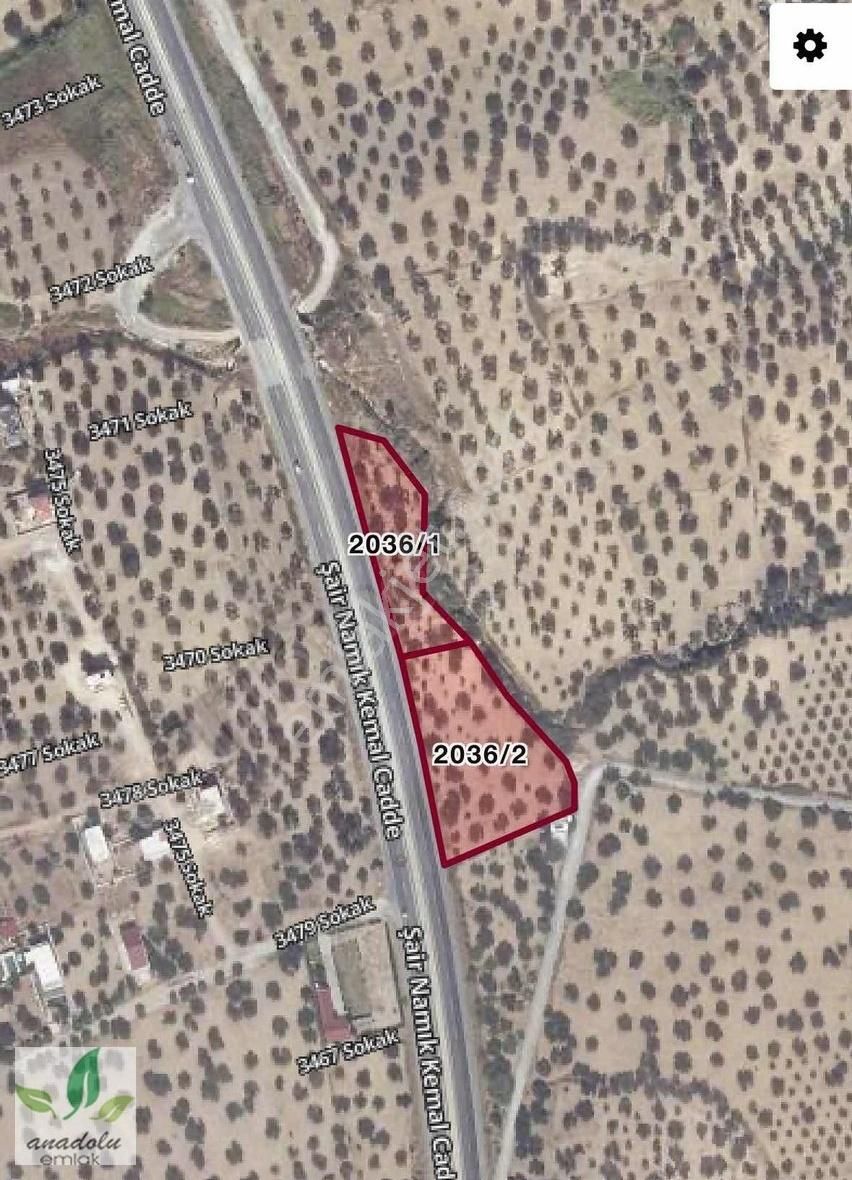Şakranda Anayola 195 M Cepheli Denize 630 M Satılık Zeytinlik - Görsel 2