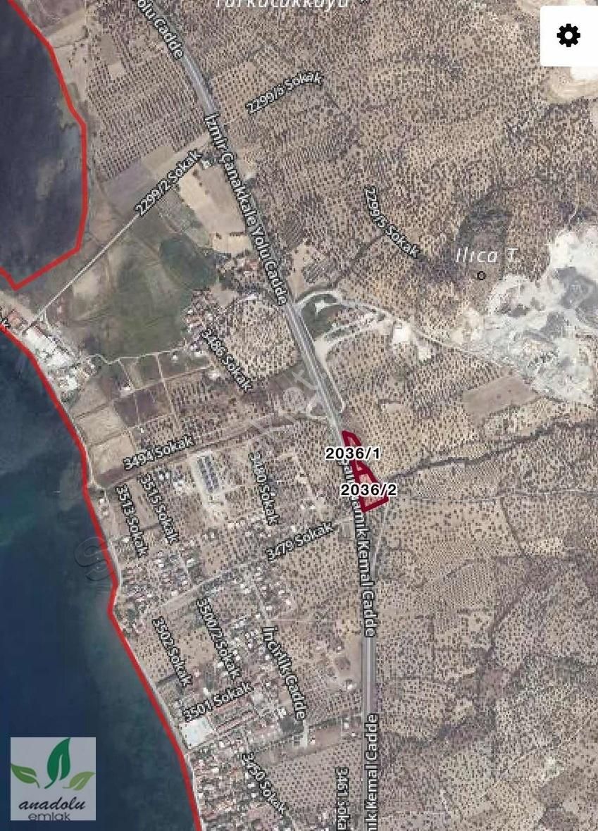 Şakranda Anayola 195 M Cepheli Denize 630 M Satılık Zeytinlik - Görsel 3