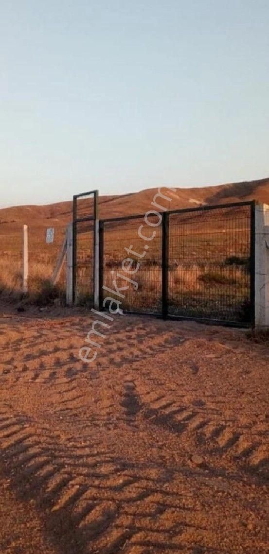 Polatlı Çekirdeksiz Satılık Bağ & Bahçe Polatlı Anadolu Dan Merkeze 10 Km Olan Çekirdeksiz Mah Da Tek Tapu Teli Suyu Yolu Muvcutdur