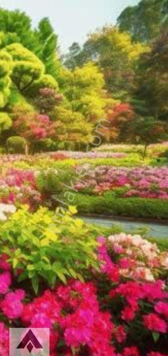 My Ekipdenbursa Mudanya Çepni De Yol Su Elektirik Sorunu Olmayan Yola Cephe Arazi Tam Yatırımlık - Görsel 2