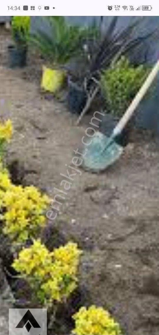 My Ekipdenbursa Mudanya Çepni De Yol Su Elektirik Sorunu Olmayan Yola Cephe Arazi Tam Yatırımlık - Görsel 30