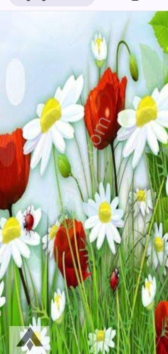 My Ekipdenbursa Mudanya Çepni De Yol Su Elektirik Sorunu Olmayan Yola Cephe Arazi Tam Yatırımlık - Görsel 15