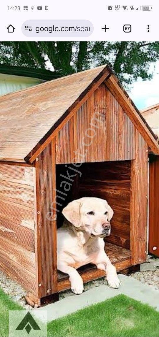 My Ekipdenbursa Mudanya Çepni De Yol Su Elektirik Sorunu Olmayan Yola Cephe Arazi Tam Yatırımlık - Görsel 31