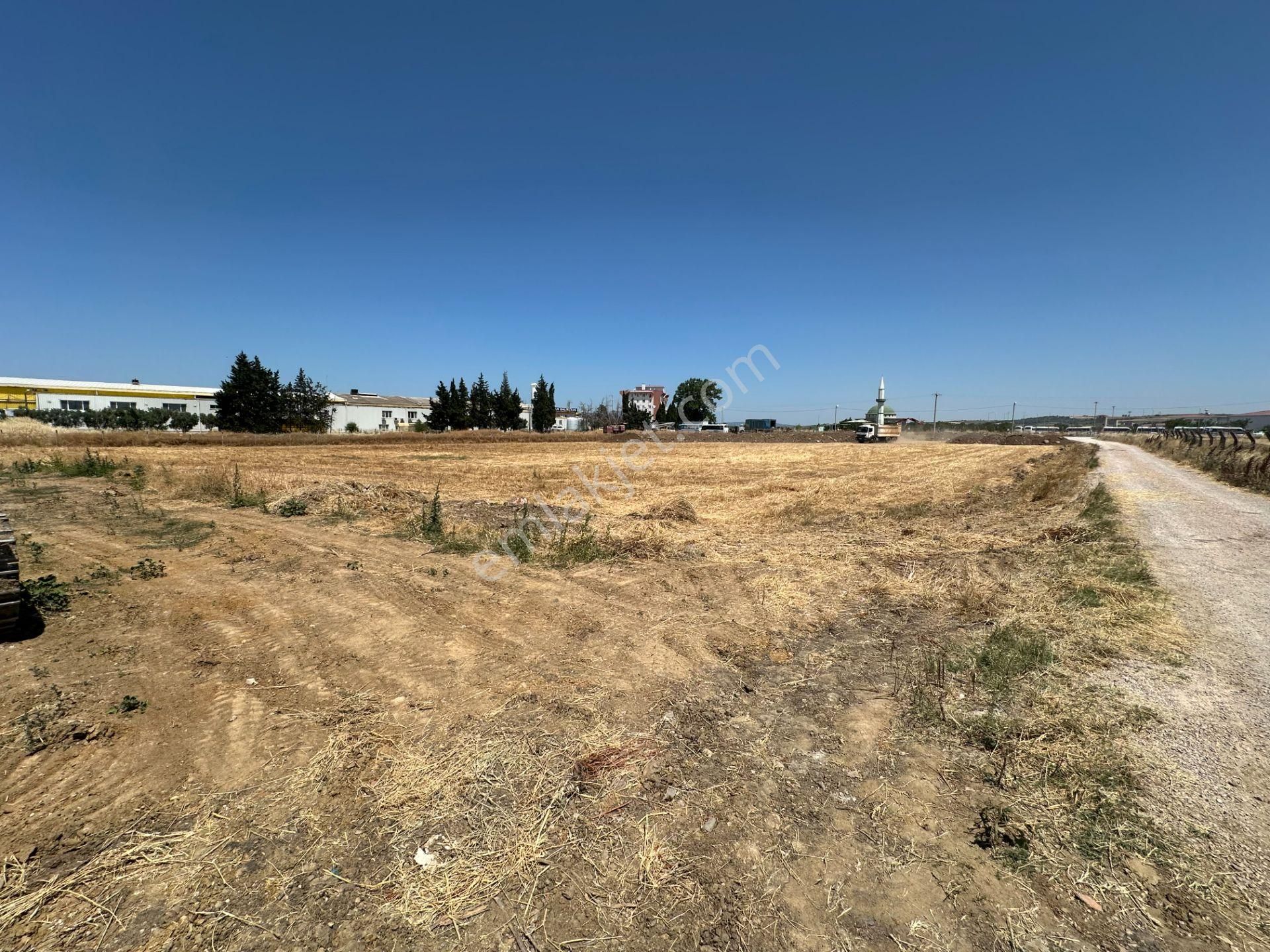 Bandırma-banvit-cezaevi Karşısı Ana Yol Üstü Kiralık Boş Arazi - Görsel 10