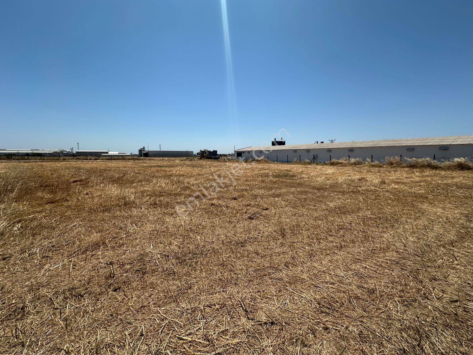 Bandırma-banvit-cezaevi Karşısı Ana Yol Üstü Kiralık Boş Arazi - Görsel 19