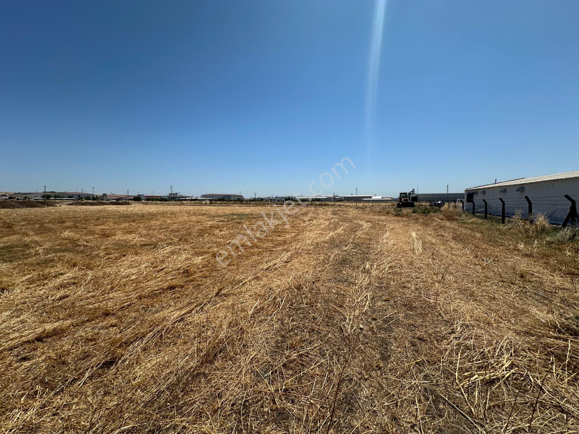 Bandırma-banvit-cezaevi Karşısı Ana Yol Üstü Kiralık Boş Arazi - Görsel 15