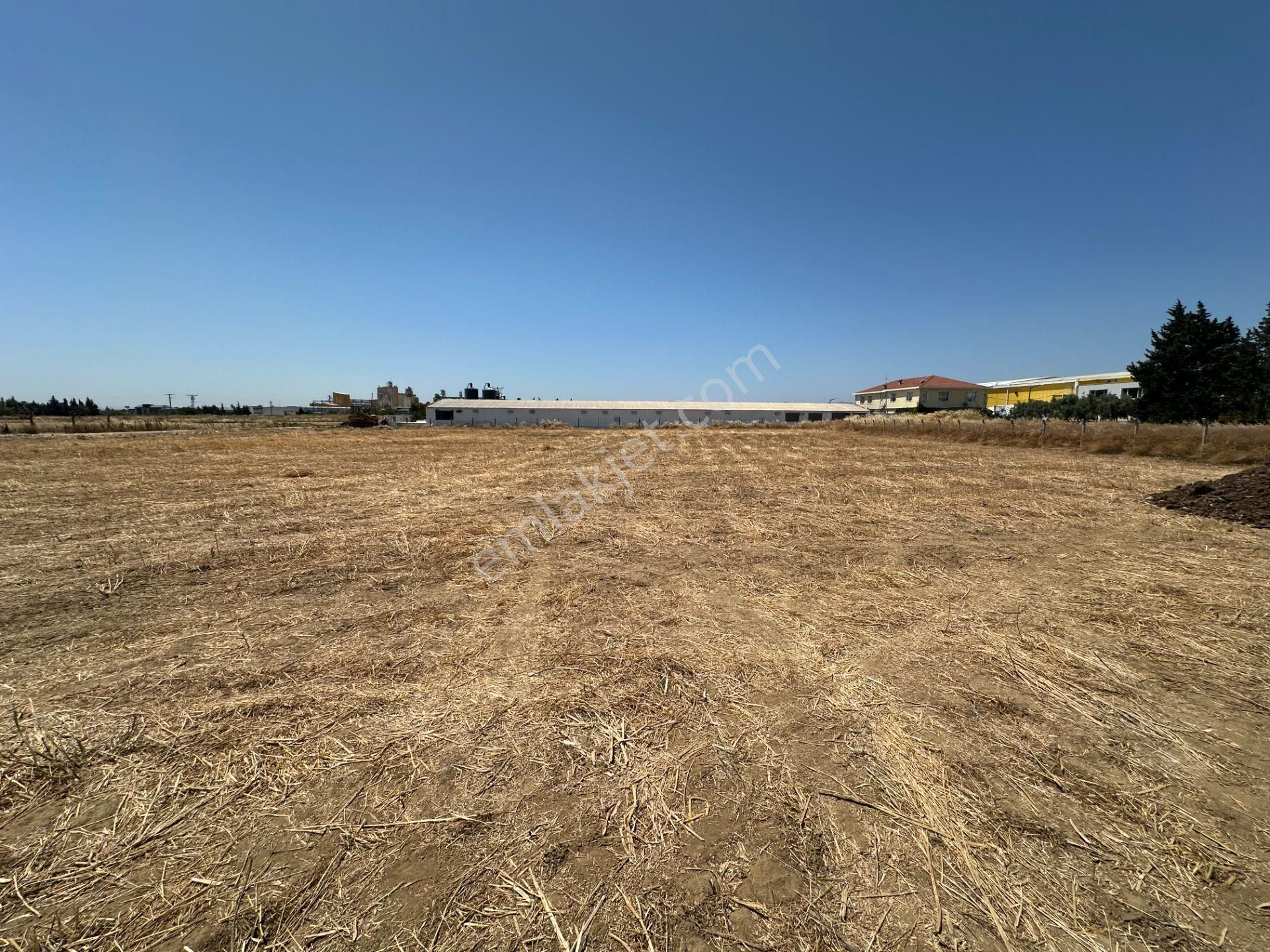 Bandırma-banvit-cezaevi Karşısı Ana Yol Üstü Kiralık Boş Arazi - Görsel 21