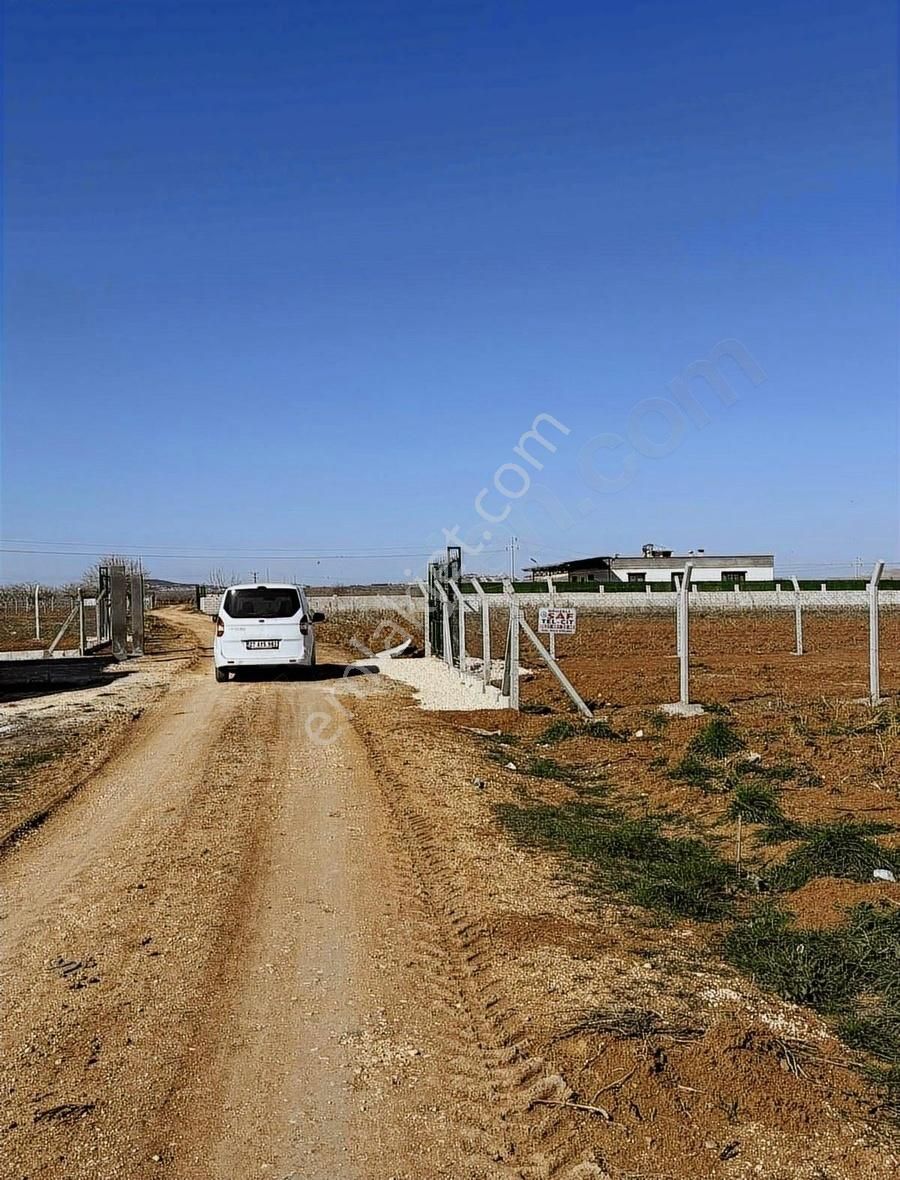 Oğuzeli Sazgın Satılık Bağ & Bahçe Havalimanına Yakın Bağ Evlik Yer