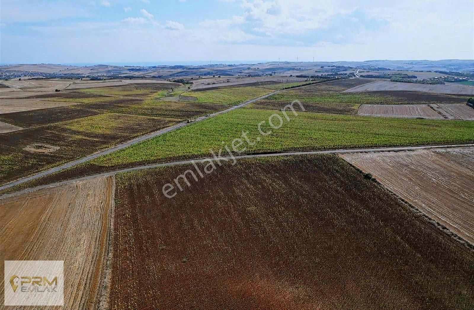 Asfalt Cephe Muratbey Gümrüğüne Yakın - Görsel 10