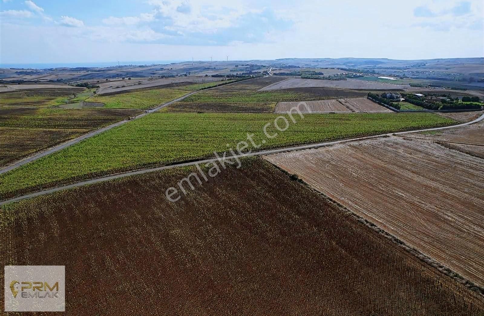 Asfalt Cephe Muratbey Gümrüğüne Yakın - Görsel 17