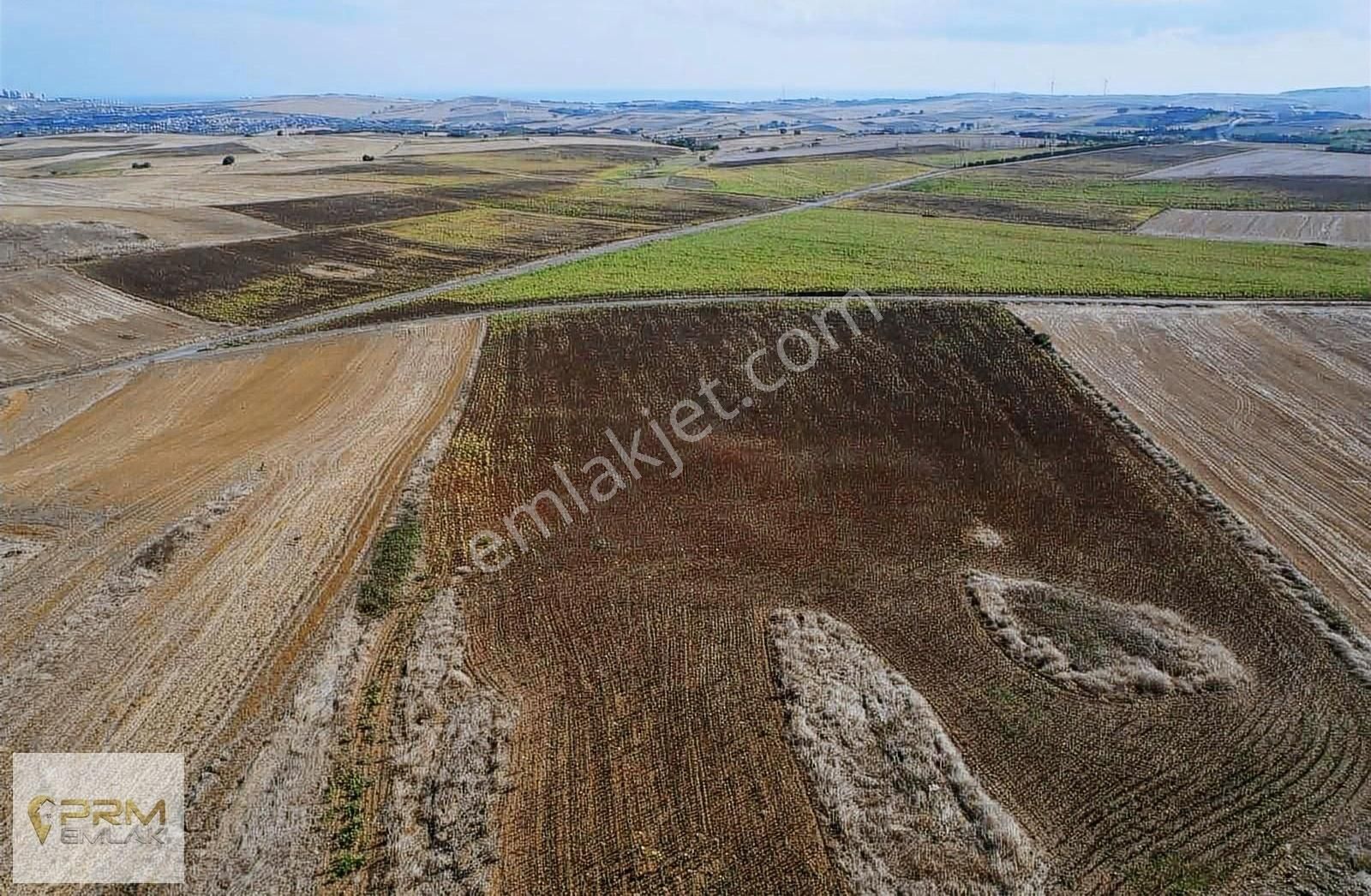 Asfalt Cephe Muratbey Gümrüğüne Yakın - Görsel 26