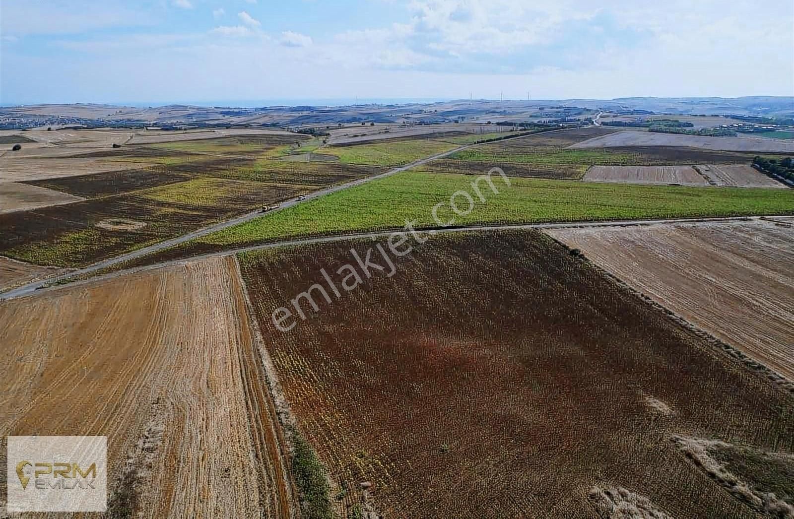 Asfalt Cephe Muratbey Gümrüğüne Yakın - Görsel 4