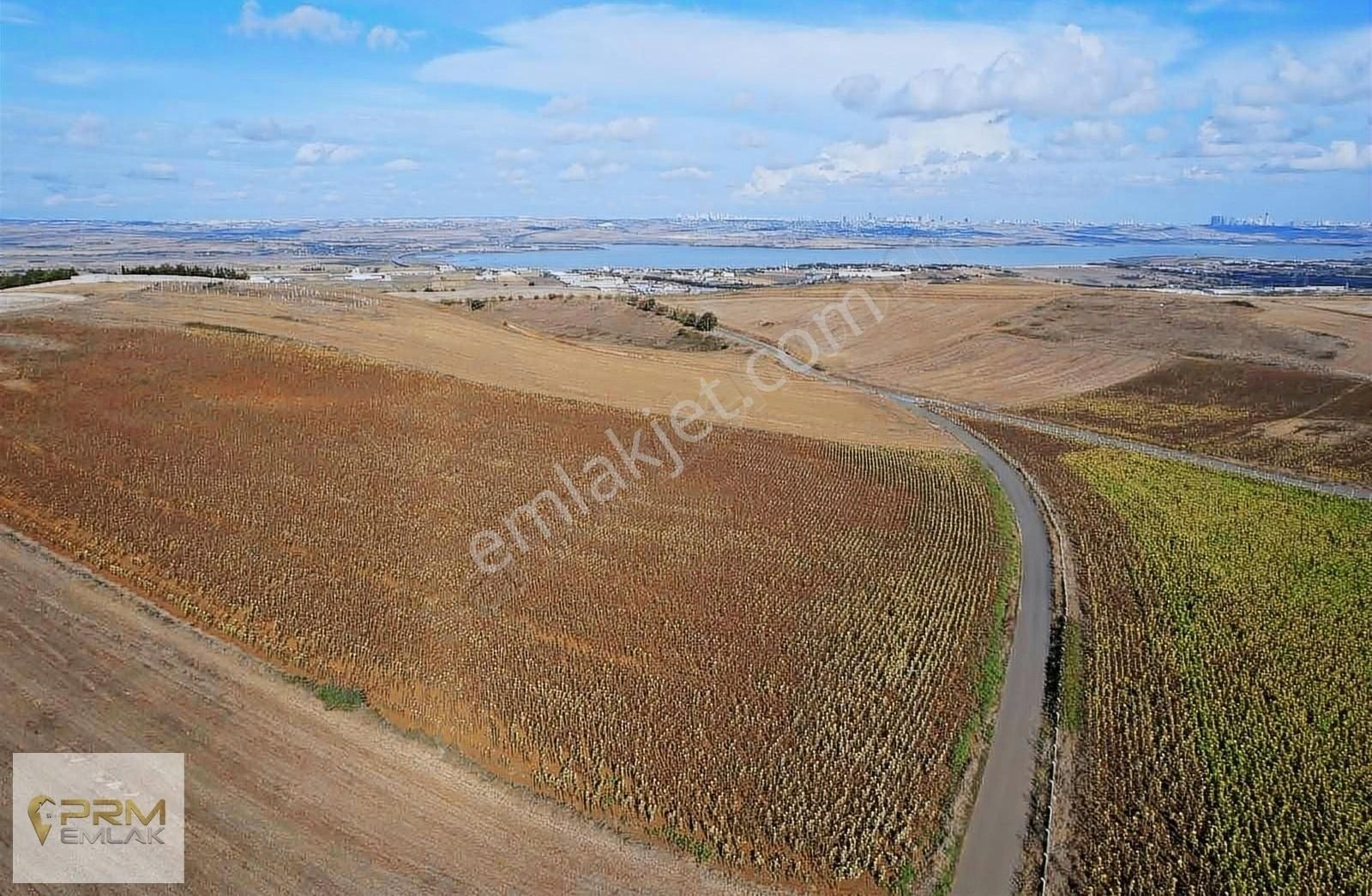 Asfalt Cephe Muratbey Gümrüğüne Yakın - Görsel 9