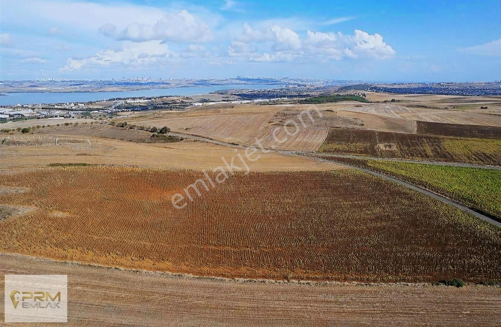 Asfalt Cephe Muratbey Gümrüğüne Yakın - Görsel 8