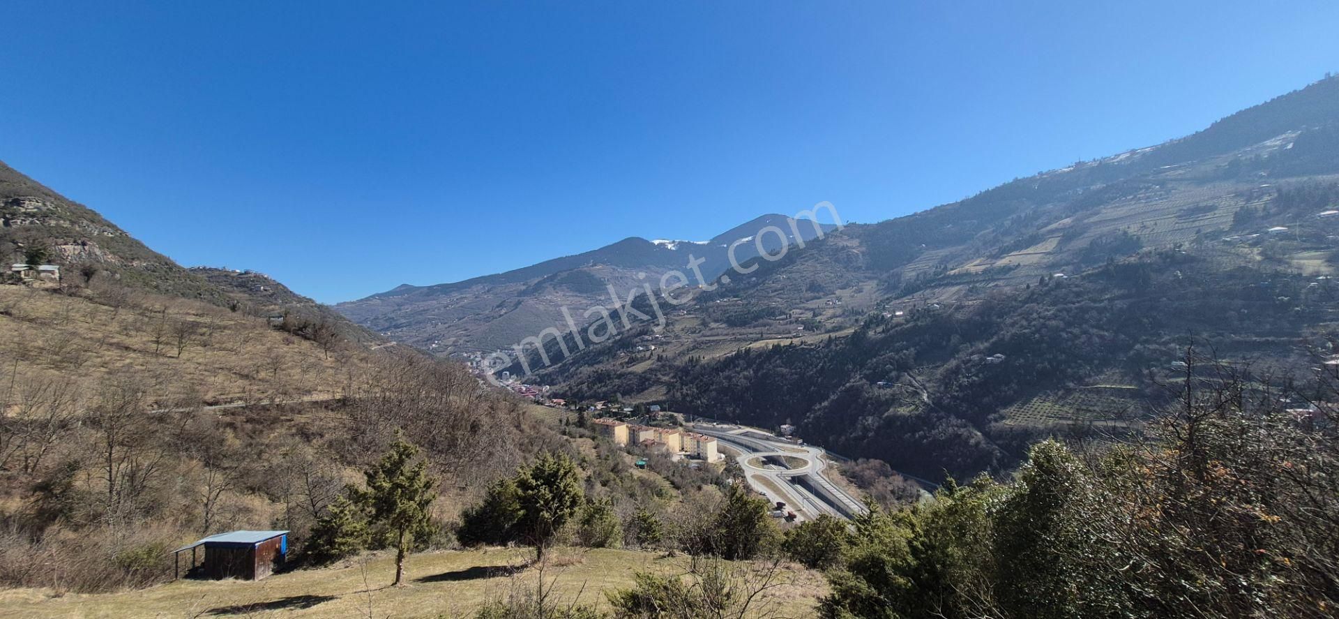 Maçka Ocaklı Satılık Tarla Trabzon Maçka Ocaklı'da Doğa İçin'nde Satılık Arsa