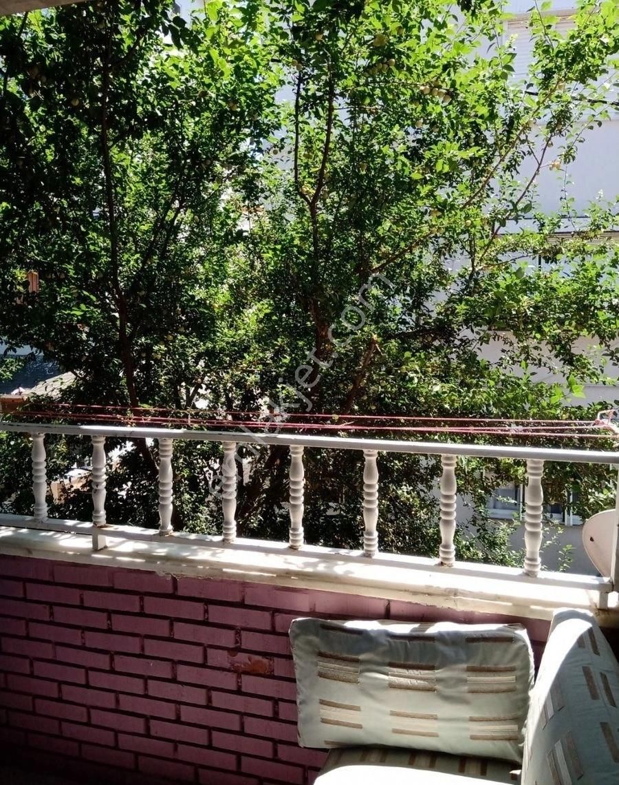 Balıkesir Avşa Adasında Harika Lokasyonda 6+1 Odalı Ruhsatlı Apart Veya Otel - Görsel 5