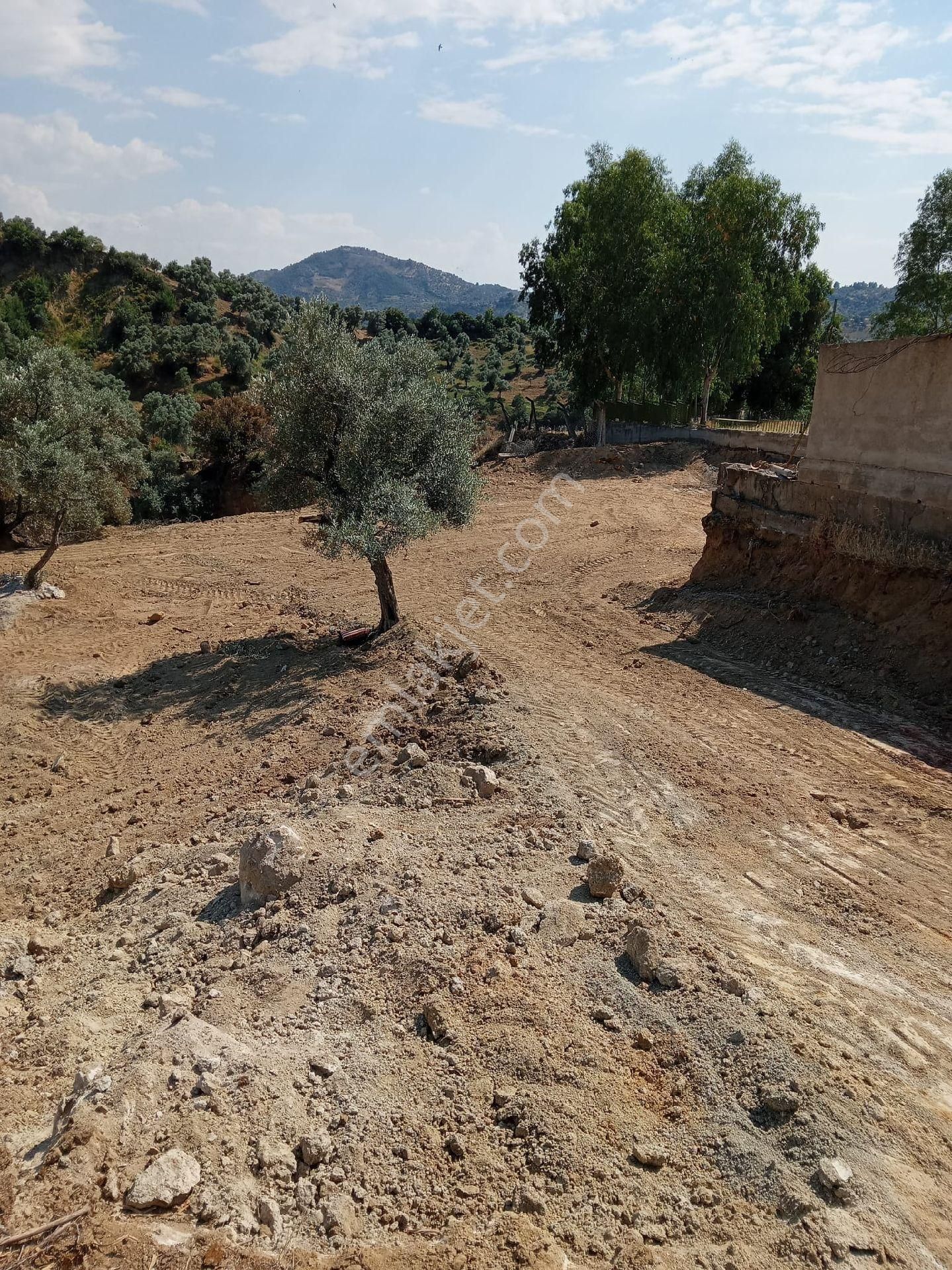 Germencik Bozköy Satılık Konut İmarlı Germencikte Satılık 1055 M2 İmarlı Arsa