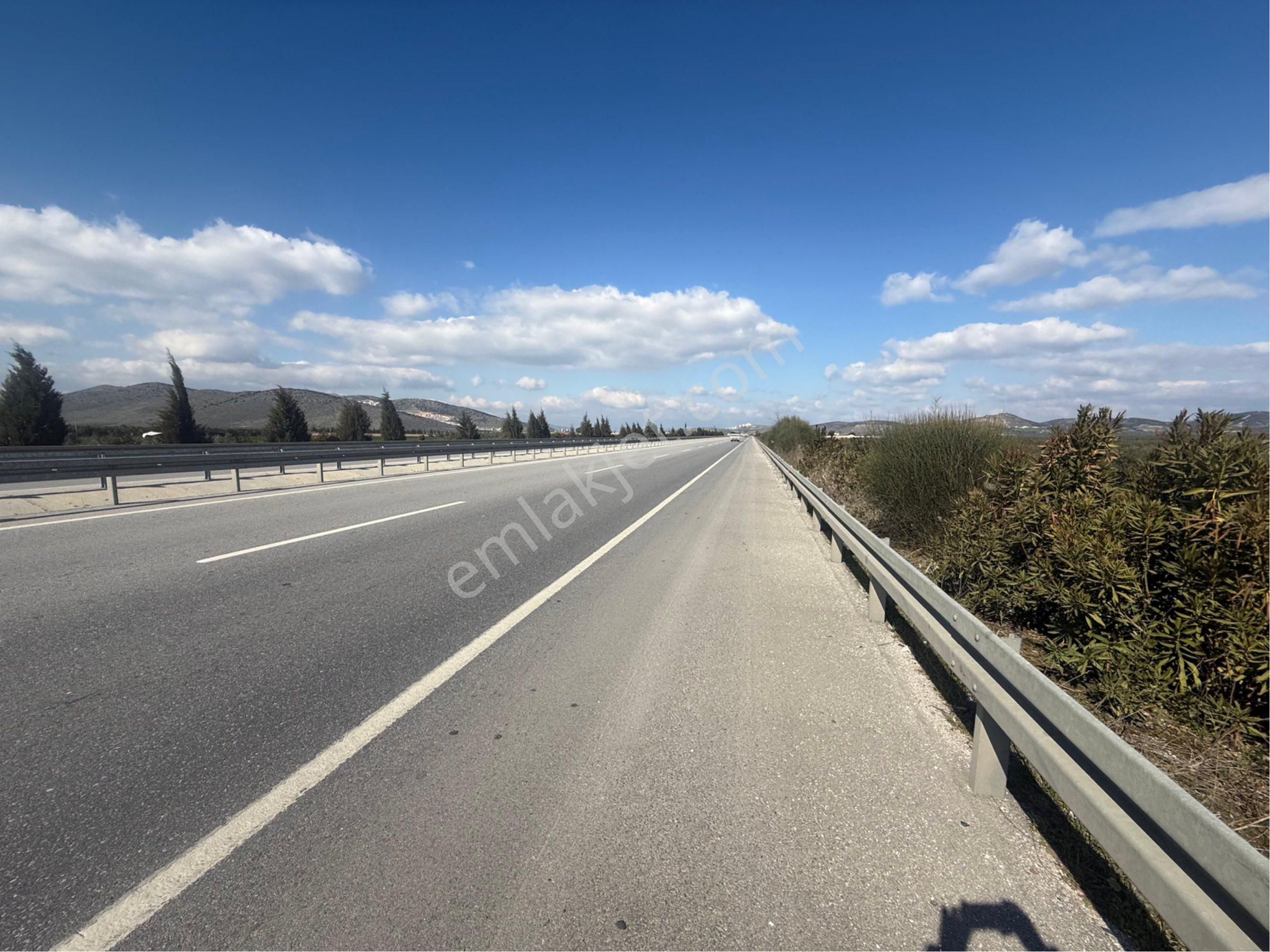 Akhisar Pınarcıkta Yola Cepheli Satılık 20 Dönüm Zeytinlik - Görsel 22