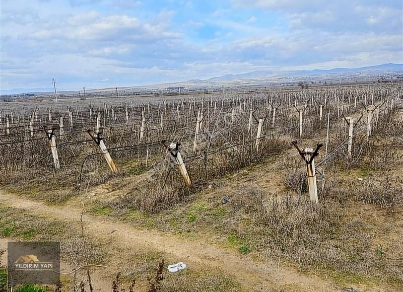 Alaşehir Kemaliye Satılık Bağ & Bahçe Yıldırım Yapı Gayrimenkul'den Satılık Kupon Bağ