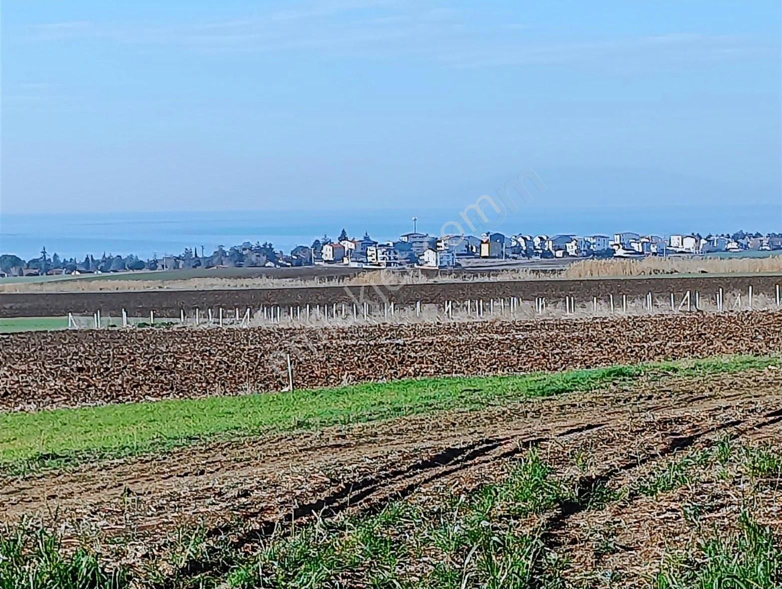 Marmaraereğlisi Çeşmeli Satılık Tarla Hobi Bahçesi Yapmaya Uygun Yerim Satılıktır