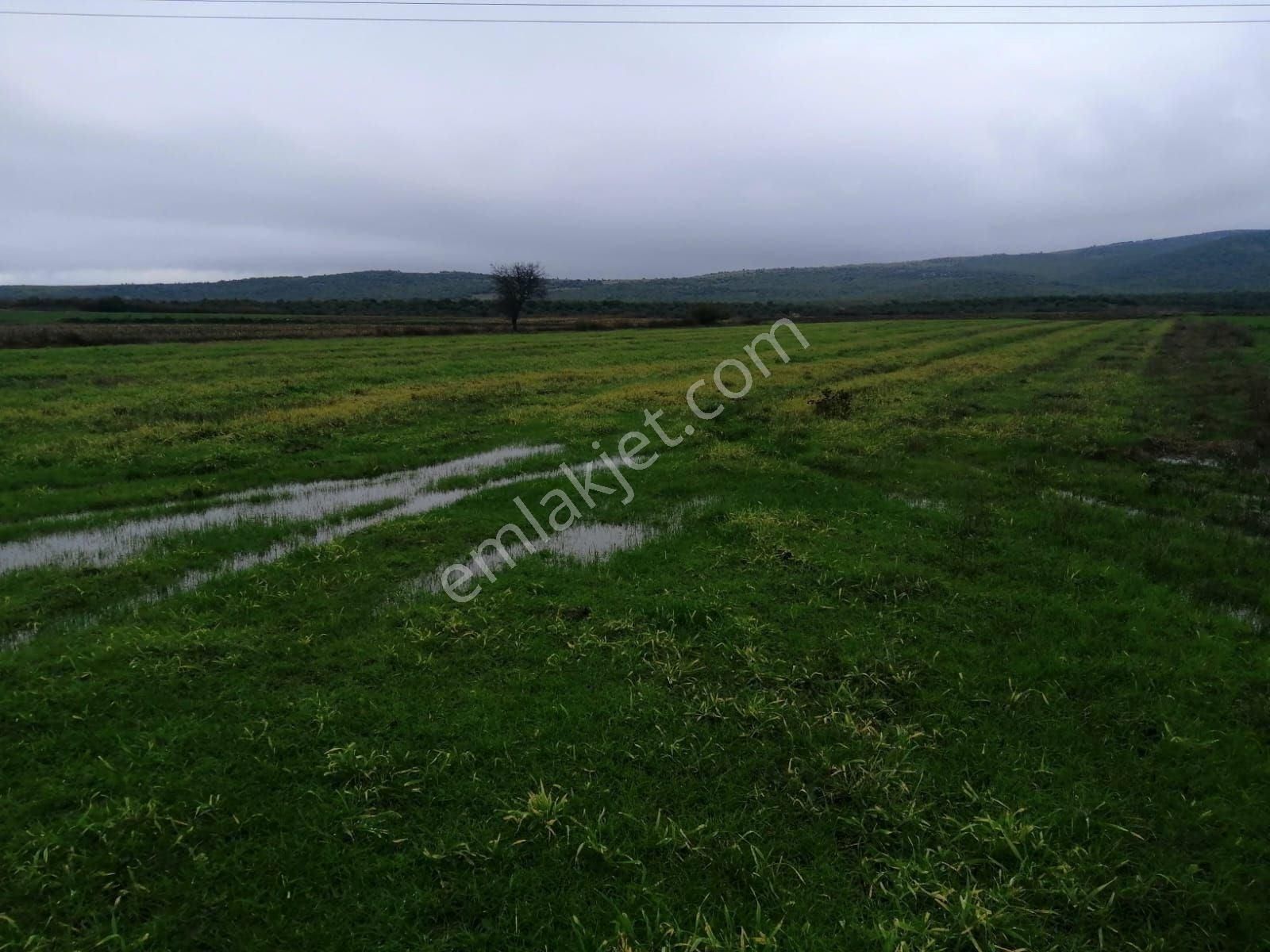 Karacabey Seyran Satılık Tarla Seyran Mah 7100m2 Tek Tapu E5 Yakın Yatırıma Uygun Satılık Tarla