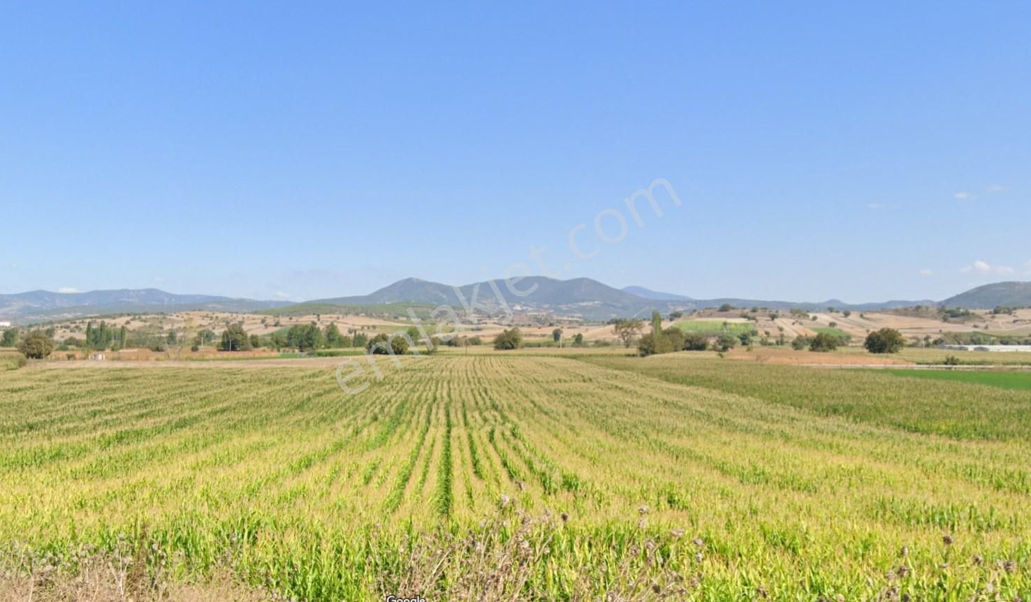 Kepsut Camiiatik Satılık Tarla Camiatik Mah. 10950 M2 Yatırıma Uygun Yola Cepheli Satılık Tarla