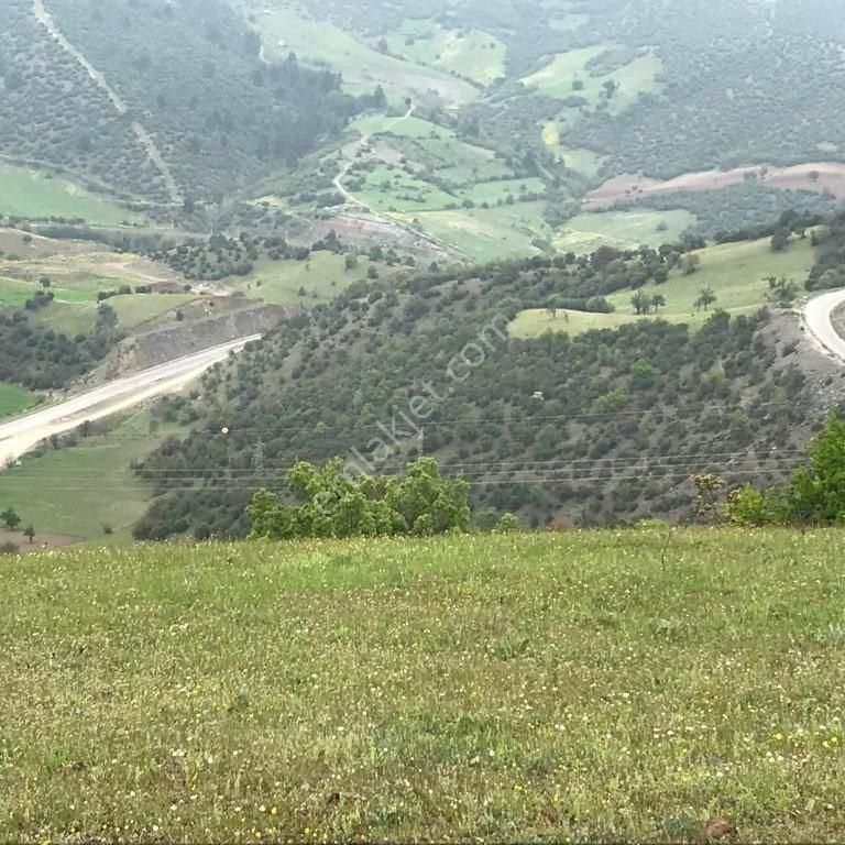 Dursunbey Hondular Satılık Tarla Hondular Mah. 14732m2 Yatırıma Uygun Satılık Tarım Arazisi Tarla