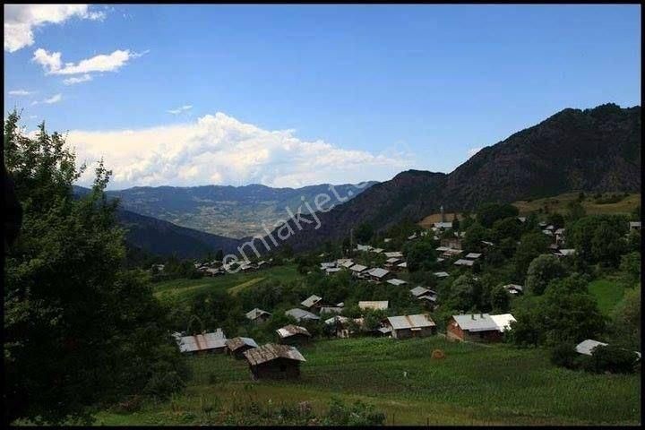 Bereket Köyü 3tapu 13618m2 Doğa Ve Oksijen Harikası Satılık Arsa