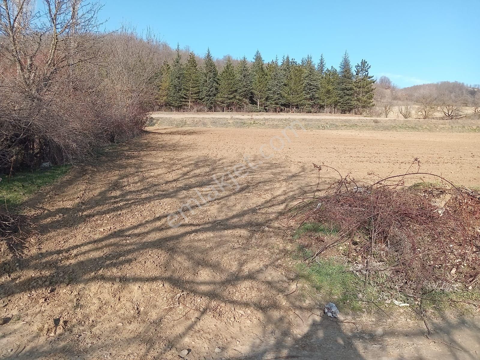 Tokat Merkez Avlunlar Köyü (Orta) Satılık Arazi Avlunlar Gökçeyol'da 2860m2 Tek Tapulu Çift Cepheside Yolu Olan