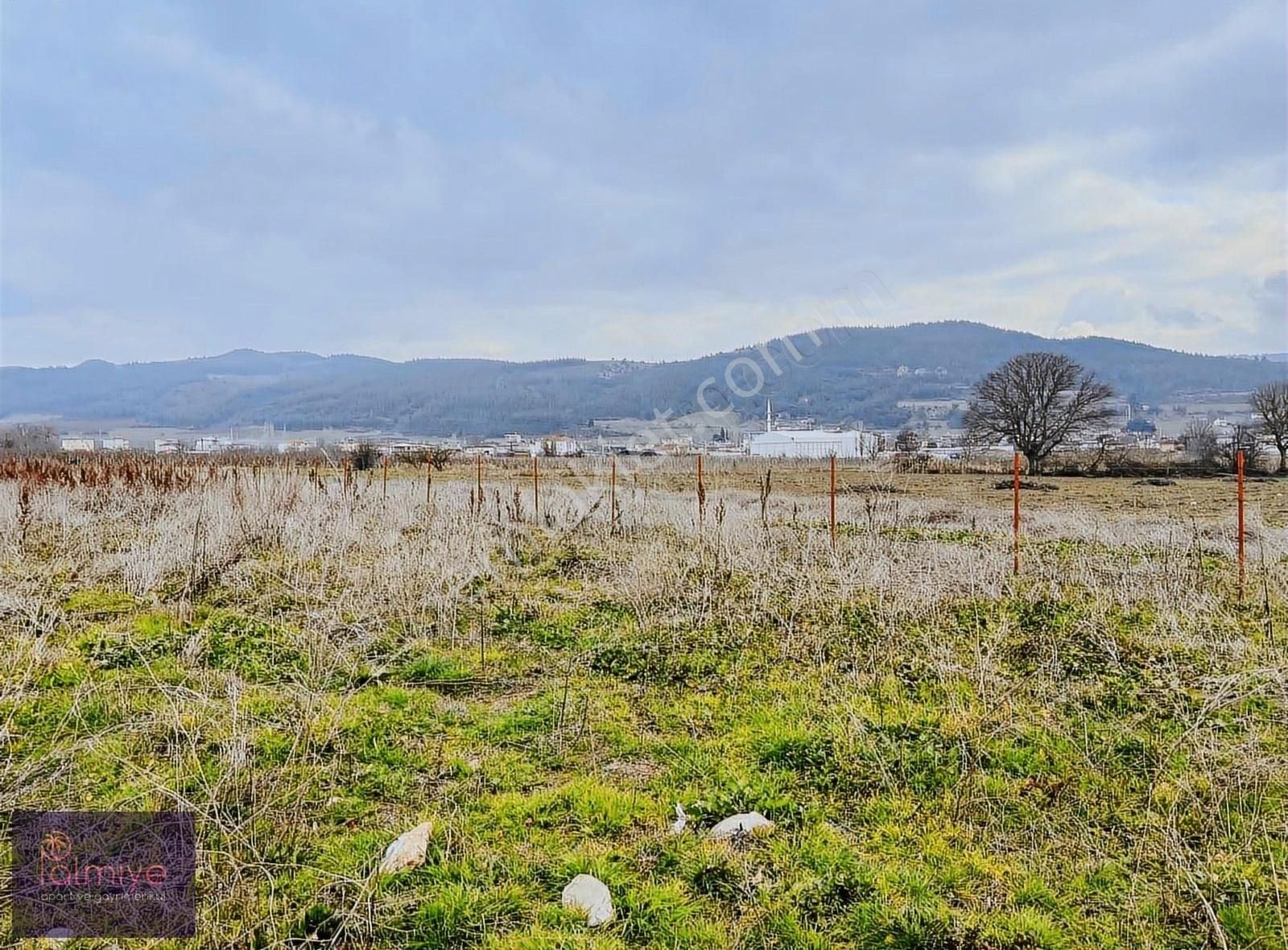 Osmaneli Hisarcık Köyü Satılık Bağ & Bahçe Hisarcık'ta Köye 500 Mt Tel Örgülü 2,800 M2 Yatırım Fırsatı