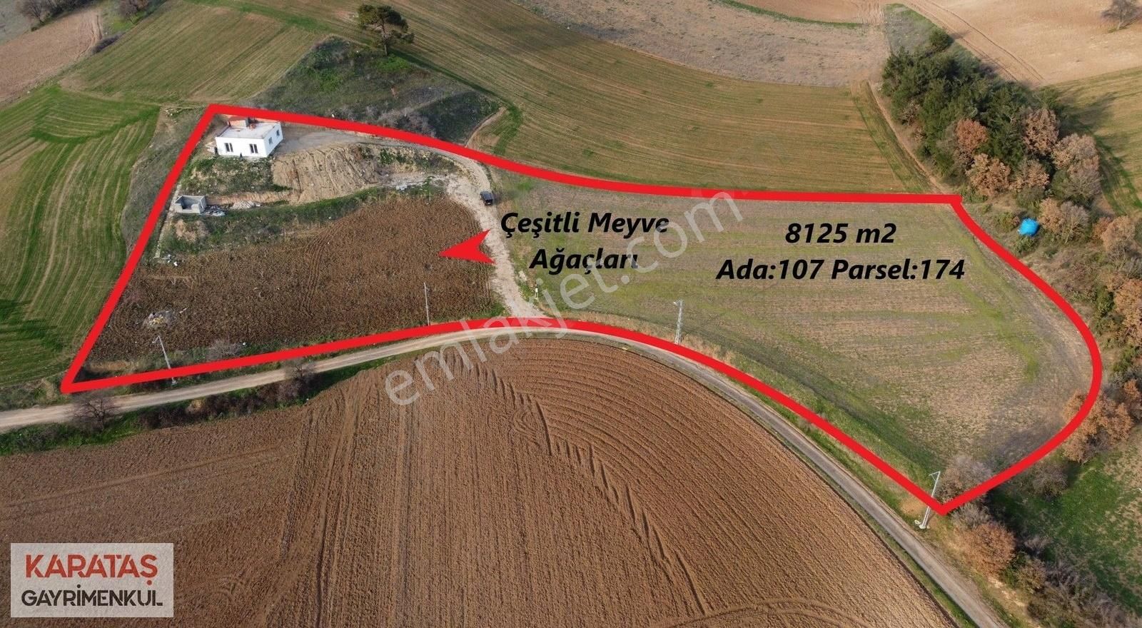 Karataş'tan 8125 M2 Elektriği Yolu Suyu 75m2 1+1 Evi Olan Arazi - Görsel 4