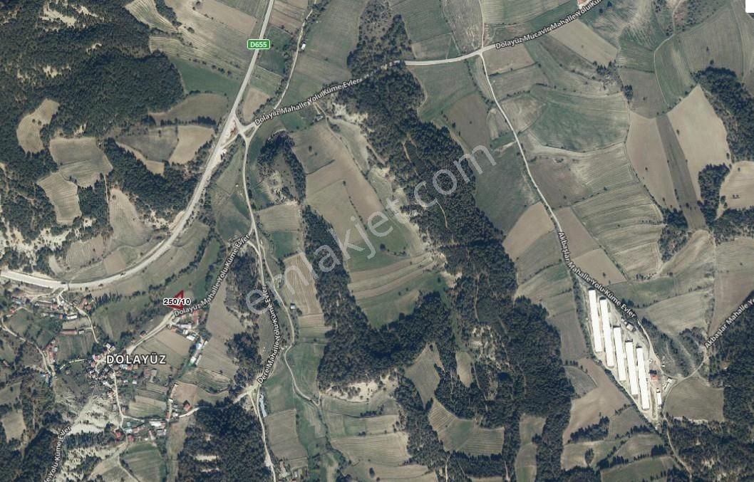 Dolayüz Mah 848m2 2.5 Kat Villa İmarlı Doğa İçinde Satılık Tarla