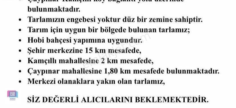 Karesi Kamçıllı Satılık Tarla Dialog Adres'den Asfalt Yola Cephe Fırsat Arazi