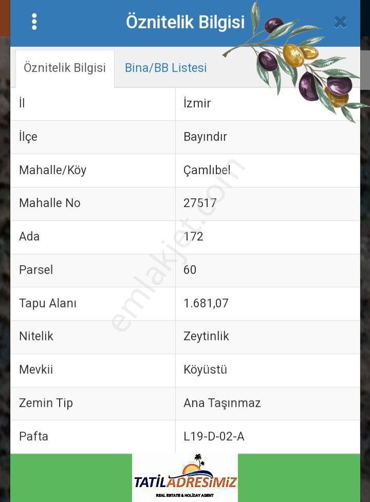 İzmir Bayındır Çamlıbel'de 1681 M2 Zeytinlik Satılık - Görsel 5
