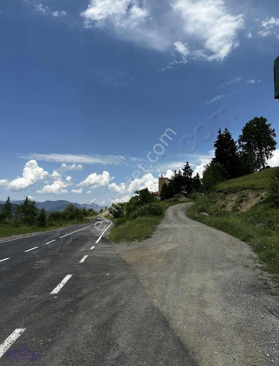 Şavşat Yavuzköy Köyü (Günkaya) Satılık Tarla Artvin Şavşat Yavuzköyde Otelin Yanında Yola Cephe Arazi