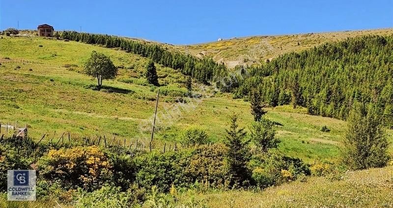 Kabadüz Musakırık Satılık Turizm İmarlı Ordu Çambaşı Kayak Merkezi Bitişiğinde Satılık Arsa