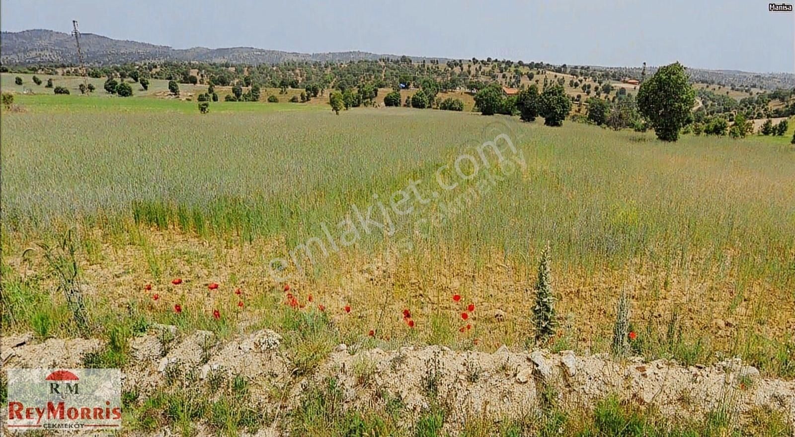 Selendi Karakozan Satılık Tarla Manisa Selendi Karakozanda İki Yola Cepheli Mükemmel Konumda