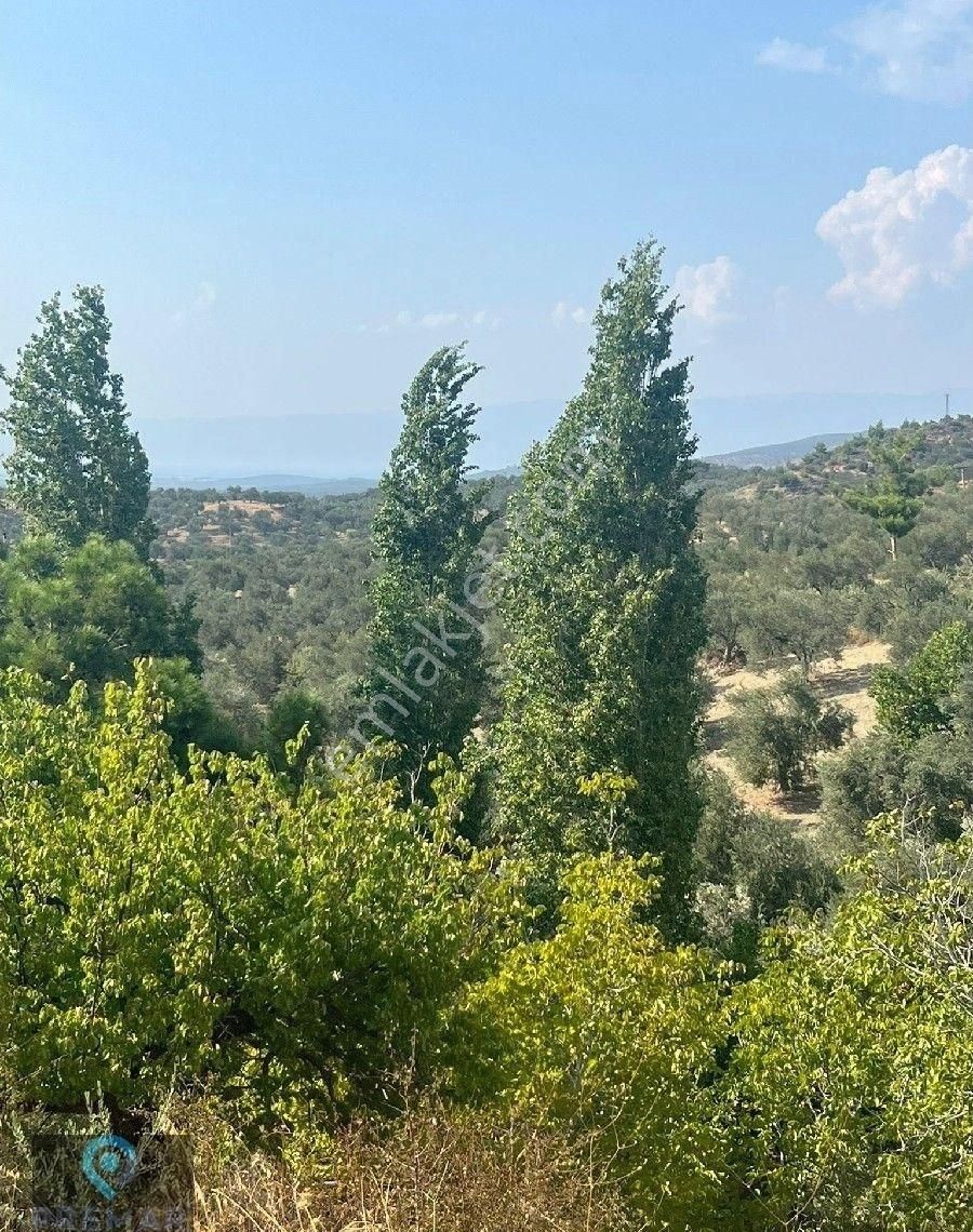 Premar Ayvada'dan Gömeç Hacıhüseyinler Köyünde Bahçe - Görsel 11